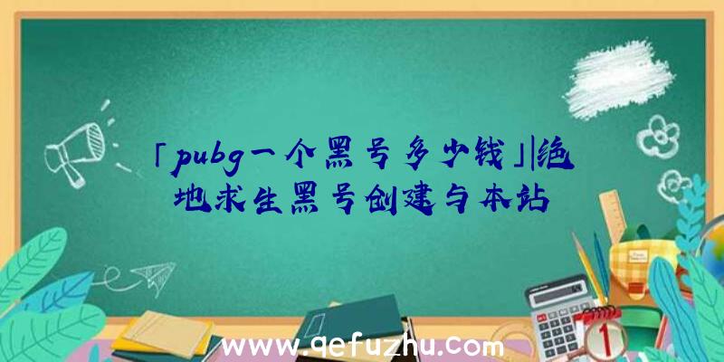 「pubg一个黑号多少钱」|绝地求生黑号创建与本站